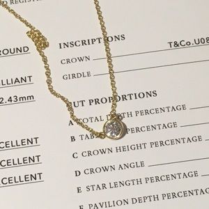 Tiffany & co 0.24 ct Diamond by yard necklace